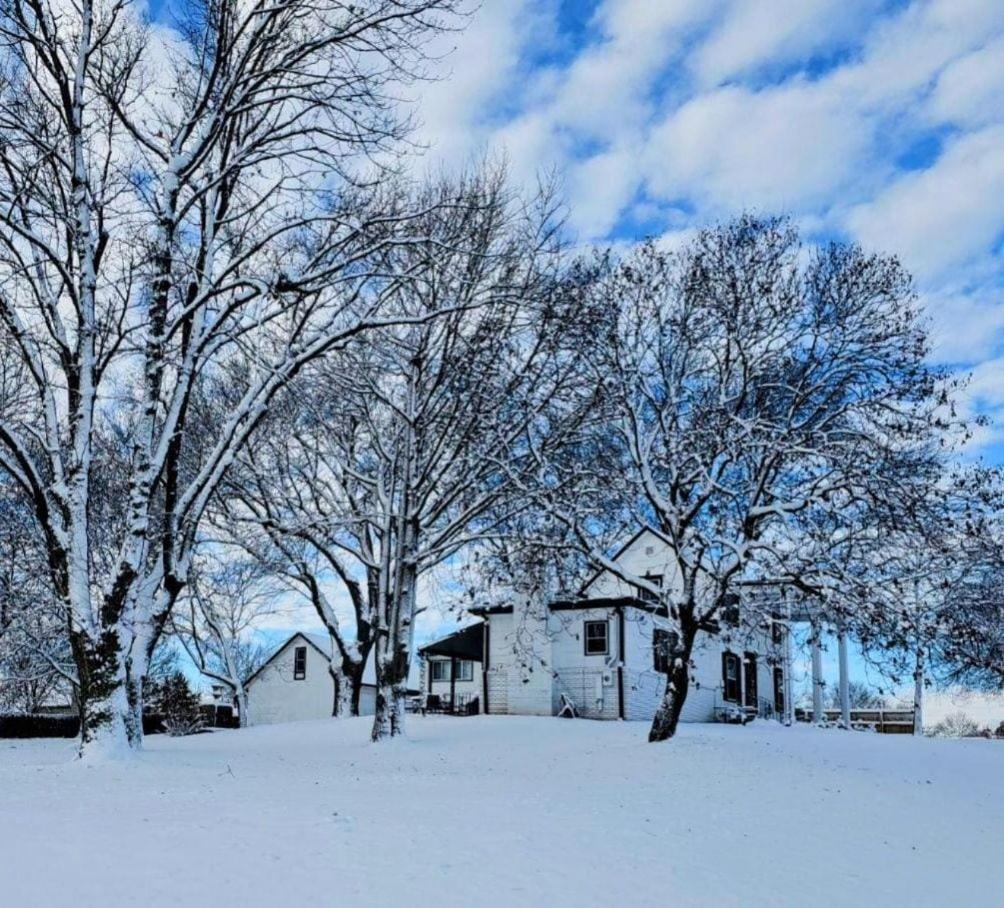 1908 Modern Farmhouse On Large Private Treed Lot 쇼니 외부 사진