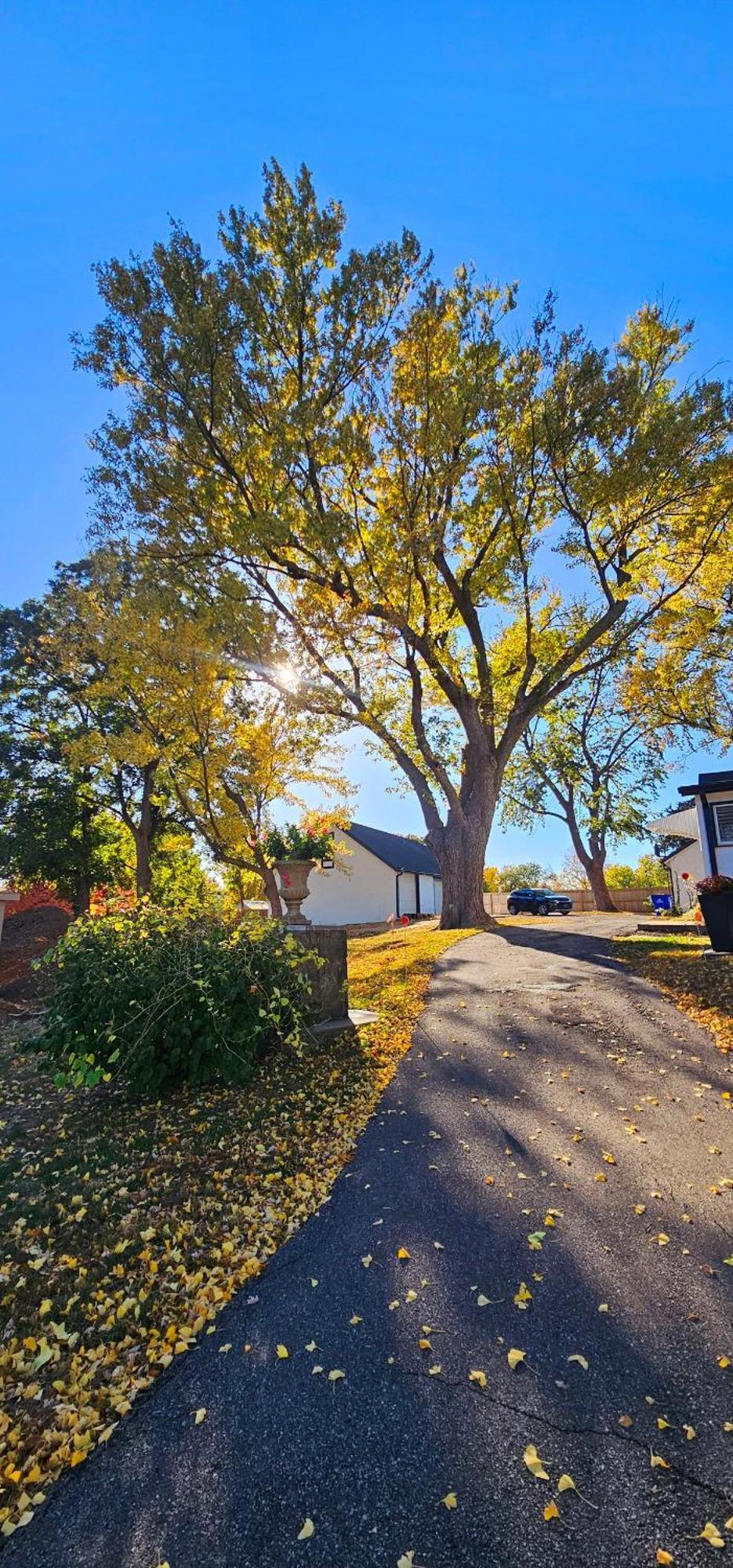 1908 Modern Farmhouse On Large Private Treed Lot 쇼니 외부 사진